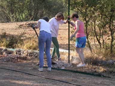 DSCN0839.jpg (24348 octets)