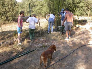 DSCN0849.jpg (23177 octets)